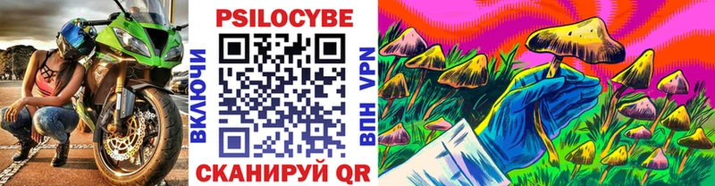 Купить закладки  Унеча  Галлюциногенные грибы GOLDEN TEACHER 