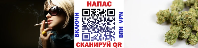 Купить  Унеча  Бошки Шишки SATIVA & INDICA 